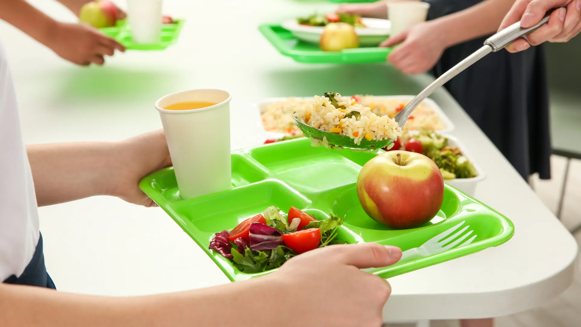 Mezzi con coibentazione e attestazione HACCP: la giusta scelta per i servizi mensa scolastici